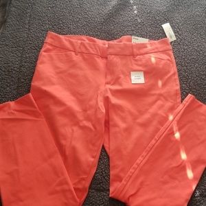 Old Navy Pixie Pant Size 12